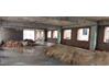 Commercial complex for Rent
